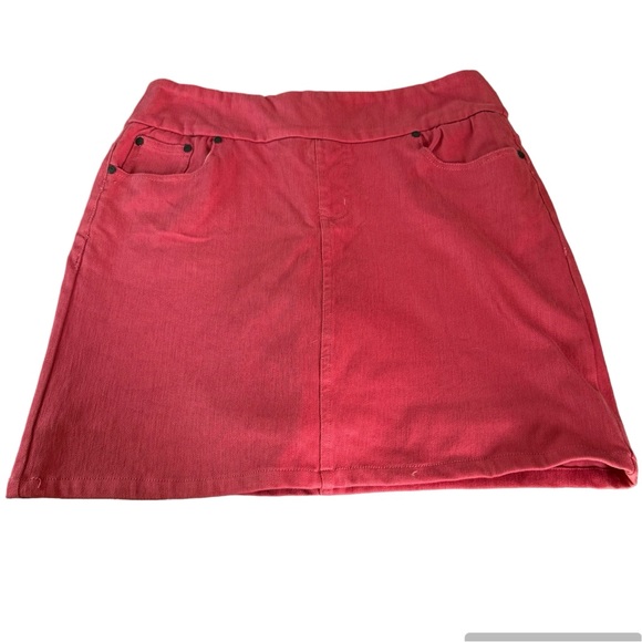 Chadwick’s Skort Size 14T - Picture 1 of 11